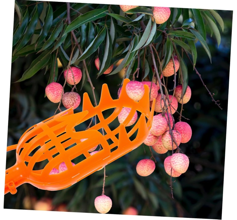 praktický oberač ovocia